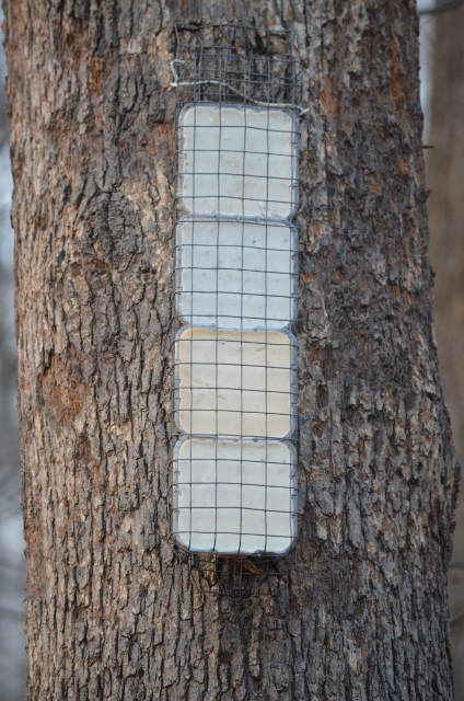 completed feeder 2 (424x640)