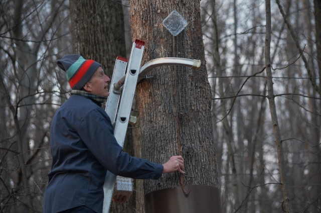 emptying feeder (640x424)