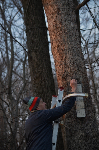 filling feeder (424x640)