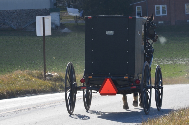 Mennonite buggy 2013 (640x424)