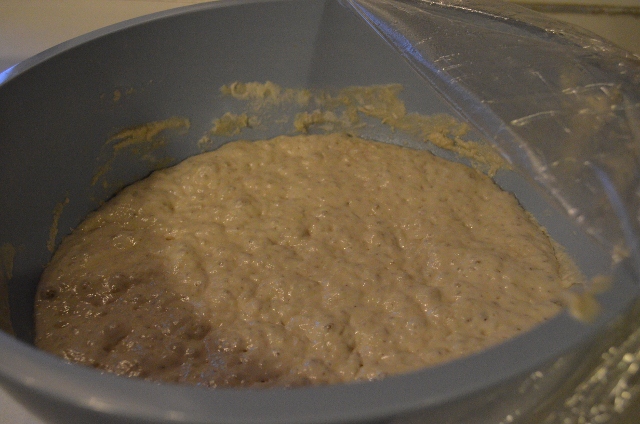 proofed dough (640x424)