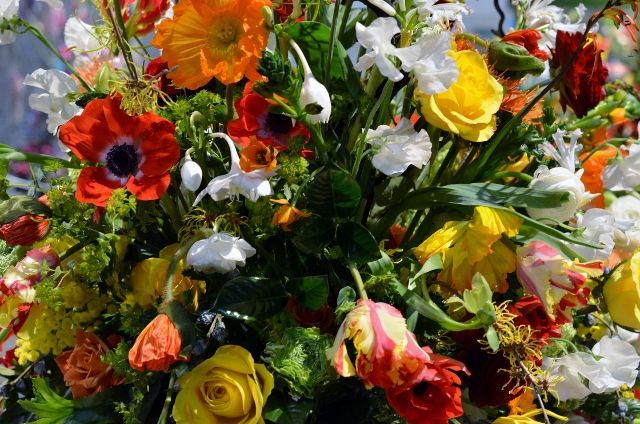 flower show 21 (640x424)