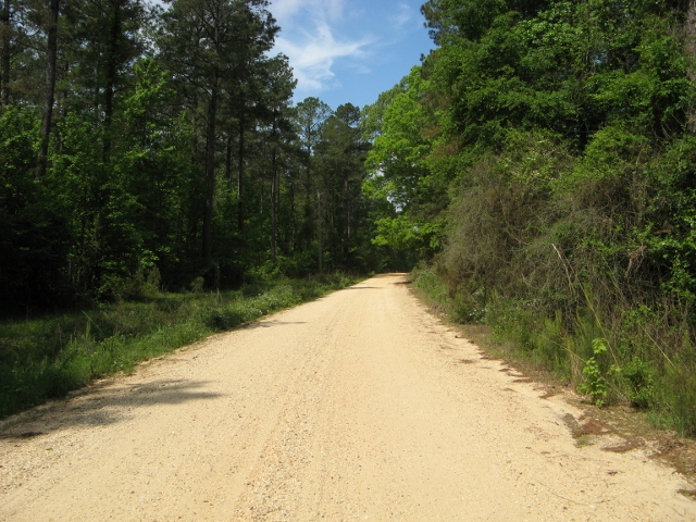arkansas road (640x480)