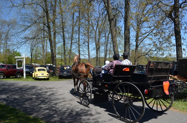 Aution Day buggy (1140x755) (2) (640x424)