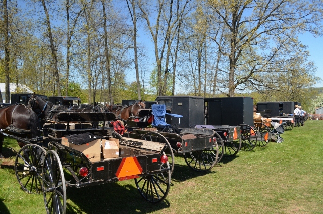 Aution Day Transportation (1140x755) (2) (640x424)