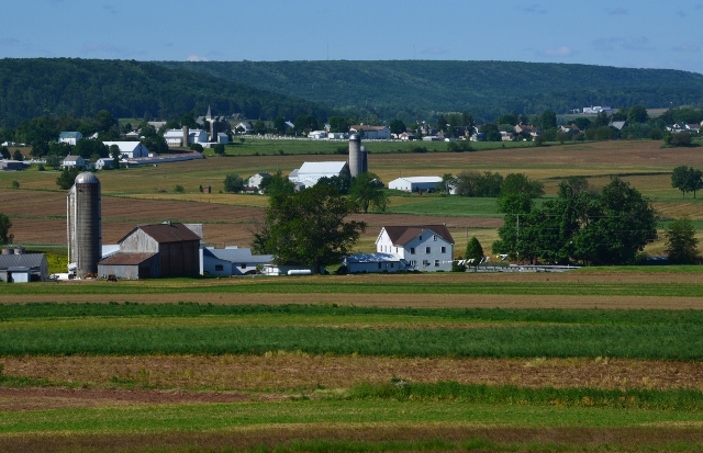 farm scenary (640x413)