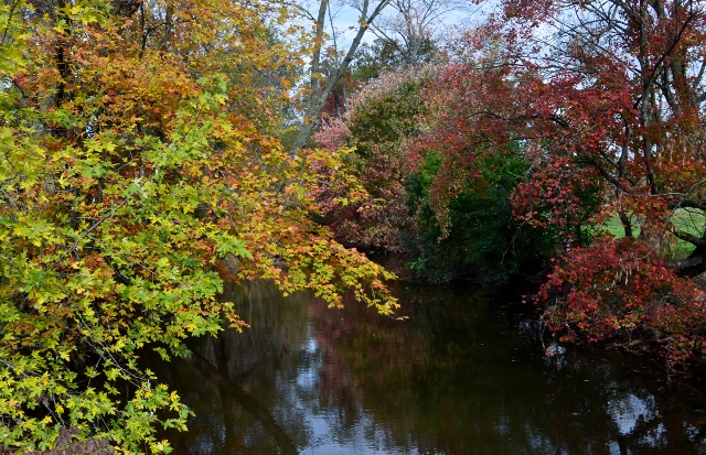 autumn creek (640x413)