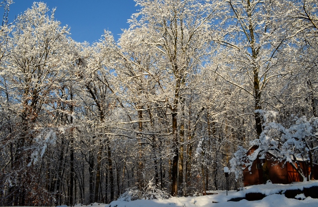 thanksgiving (640x418)