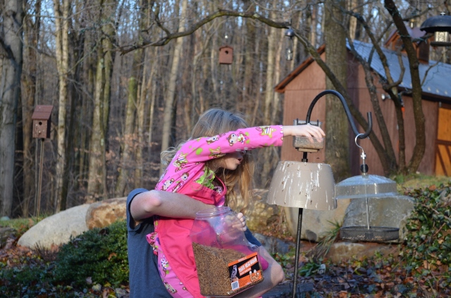 feedng mealworms (640x424)