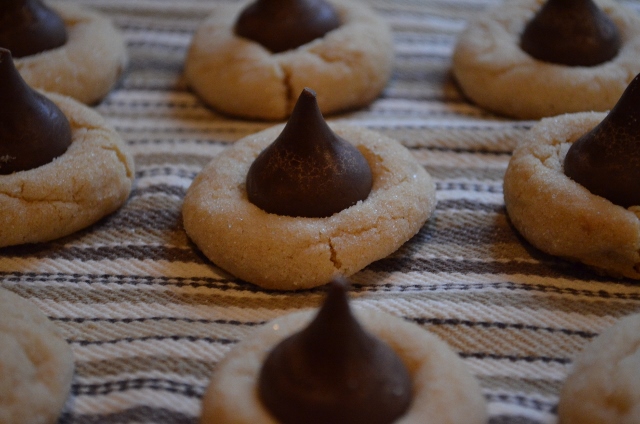 peanut blossom (640x424)