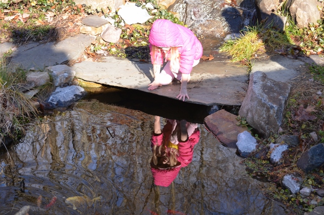 reflection (640x424)