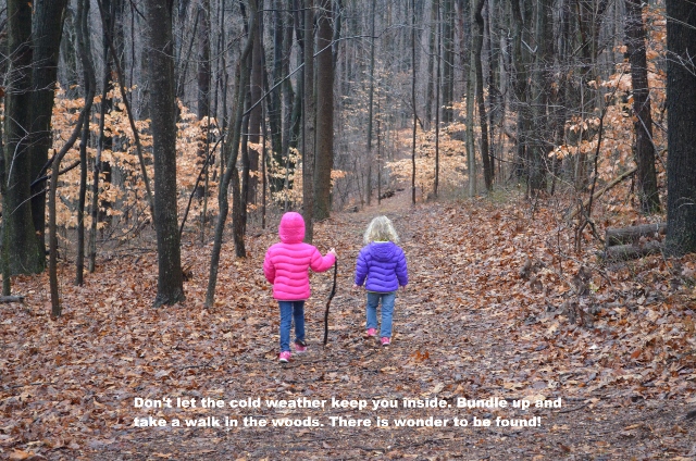 take a walk in the woods (640x424)