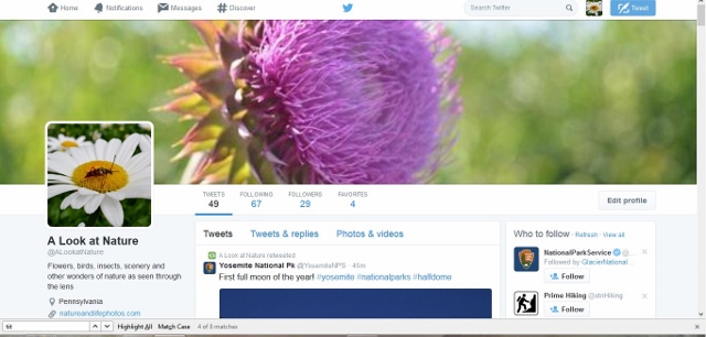 twitter page (640x306)