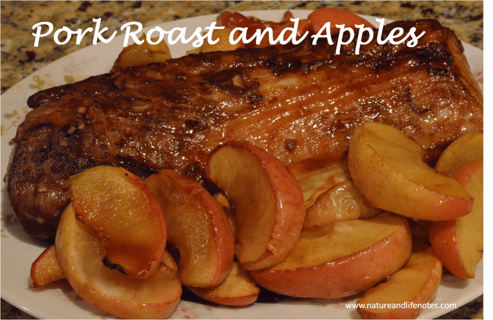 pork roast apples 3.jpg
